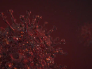 covid-19 3D Model