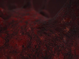 covid-19 3D Model