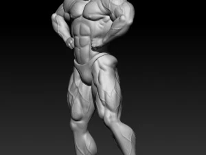 3D MODEL STL for 3D printing Bodybuilder Man 3D Print Model