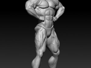 3D MODEL STL for 3D printing Bodybuilder Man 3D Print Model