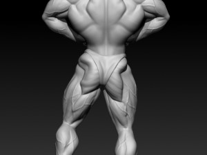 3D MODEL STL for 3D printing Bodybuilder Man 3D Print Model