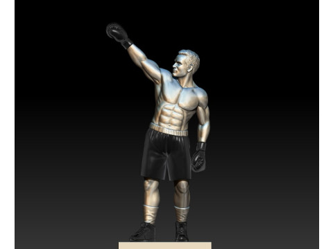 Winner Boxer 3D MODEL STL file for 3D printing 3D Print Model