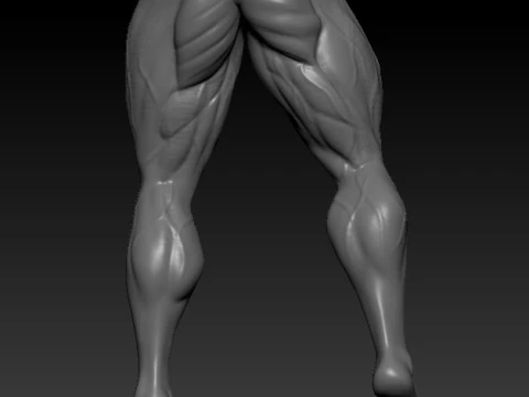 Ronnie Coleman 3D MODEL STL for 3D printing Bodybuilder Man 3D Print Model