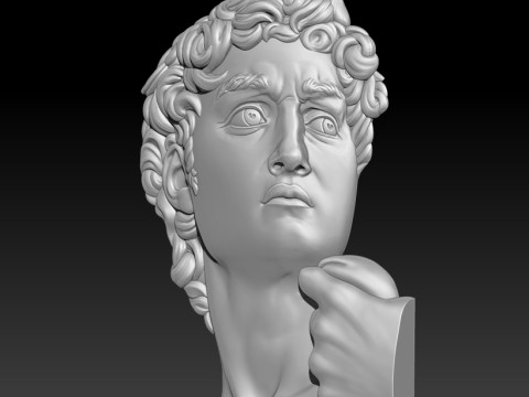 David Portrait Michelangelo 3D MODEL for CNC and 3D printing Modelo de impresión 3D