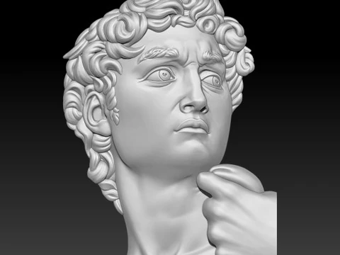 David Portrait Michelangelo 3D MODEL for CNC and 3D printing 3D Print Model