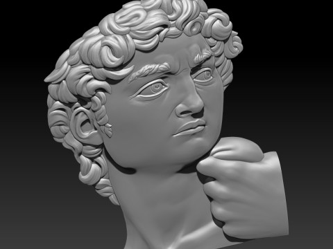 David Portrait Michelangelo 3D MODEL for CNC and 3D printing Modelo de impresión 3D