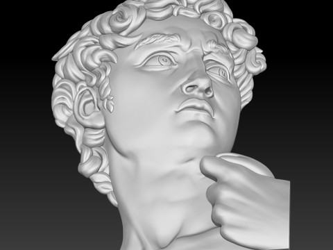 David Portrait Michelangelo 3D MODEL for CNC and 3D printing Modelo de impresión 3D