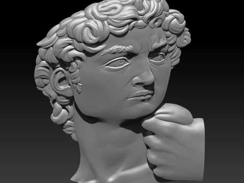David Portrait Michelangelo 3D MODEL for CNC and 3D printing Modelo de impresión 3D
