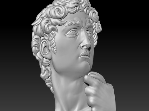 David Portrait Michelangelo 3D MODEL for CNC and 3D printing Modelo de impresión 3D