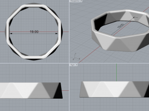 ring - facets Model 3D