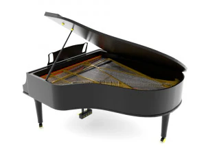 pianoforte a coda Modello 3D