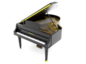 pianoforte a coda Modello 3D