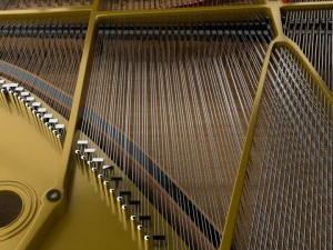pianoforte a coda Modello 3D