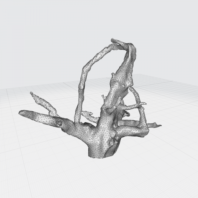 root Model 3D .c4d .max .obj .3ds .fbx .stl .blend 