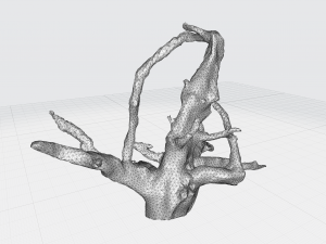root 3D 模型