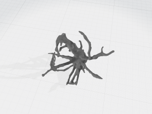 root Model 3D