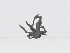 root Model 3D