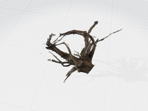 root Model 3D