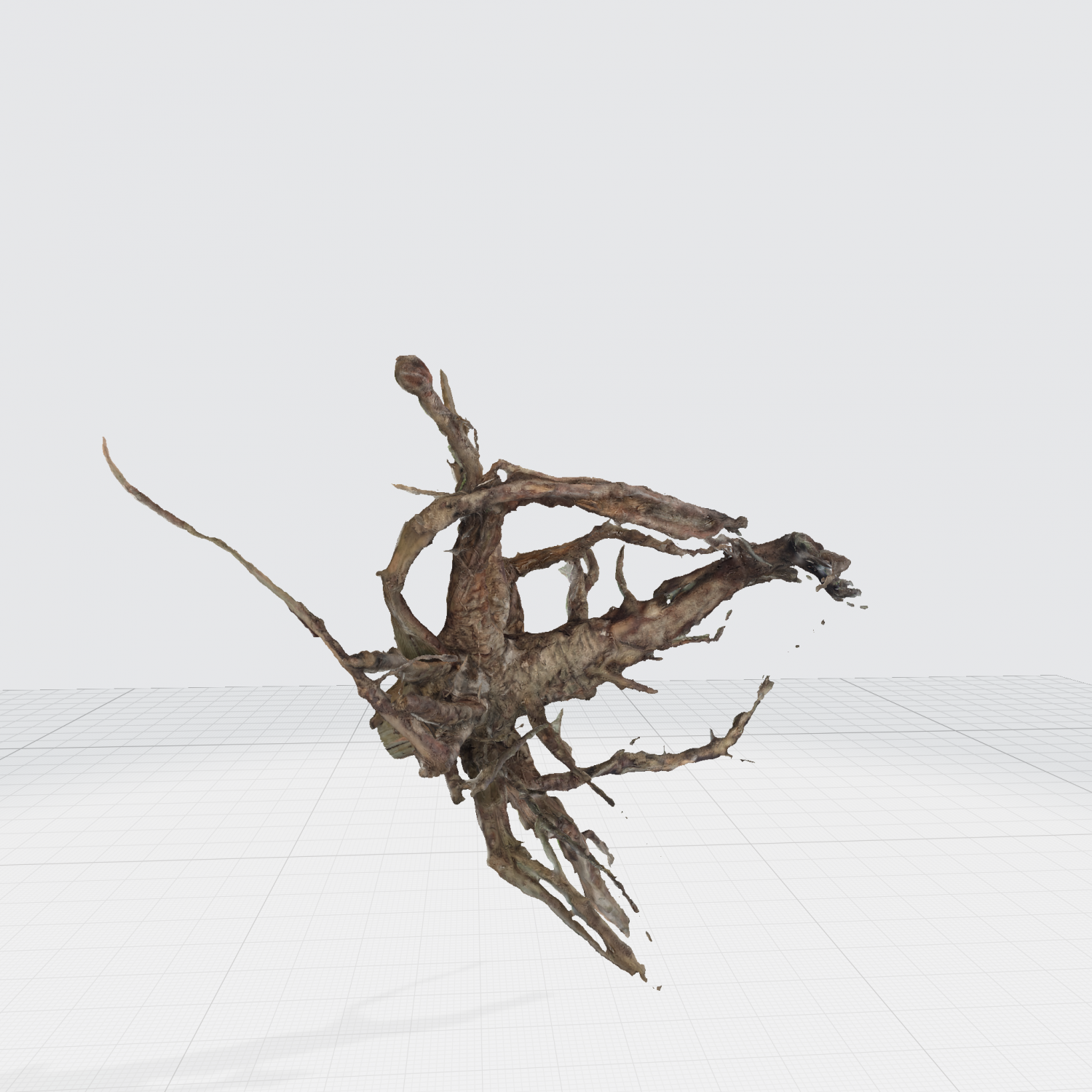 B. Apex locator c root i vi. Apex locator c root i. Искусственные стимуляторы. C root 3.