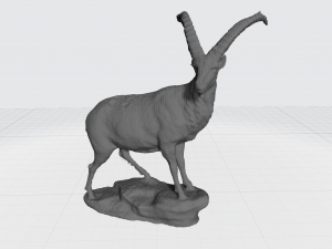 capricorn 3Dモデル