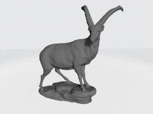 Capricorno Modello 3D