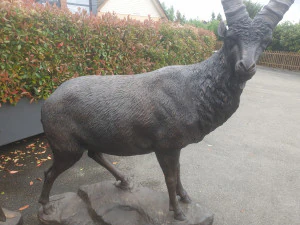 Capric&oacute;rnio Modelo 3D