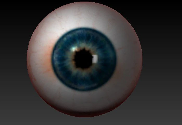 realistisches Auge 3D Modell .c4d .max .obj .3ds .fbx .stl .blend 