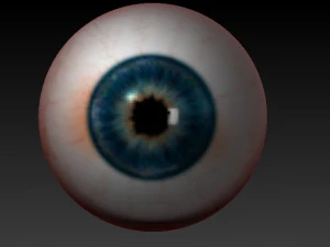 oeil r&eacute;aliste Modèle 3D