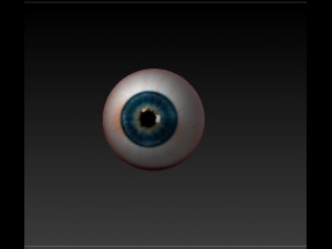 realistic eye Modèle 3D