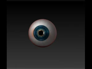 realistisches Auge 3D Modell