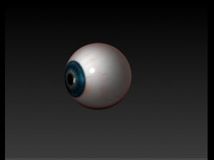 realistic eye Modèle 3D
