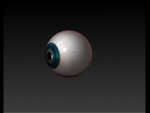 realistisches Auge 3D Modell