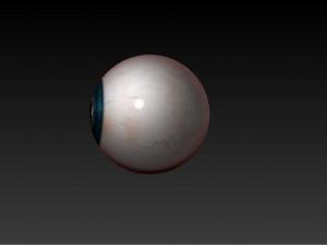realistic eye Modèle 3D
