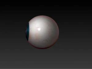 realistisches Auge 3D Modell
