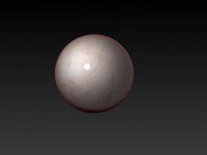 realistisches Auge 3D Modell