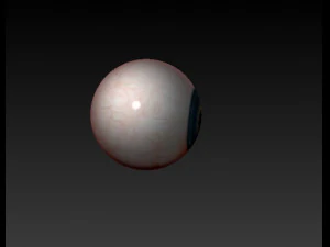 realistisches Auge 3D Modell