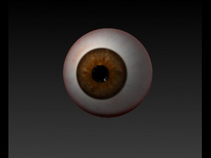 eyes graybluebrownpurpule 3D Modell
