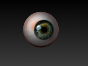 eyes graybluebrownpurpule 3D Modell