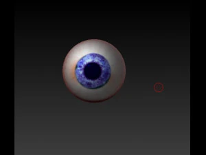 eyes graybluebrownpurpule 3D Model