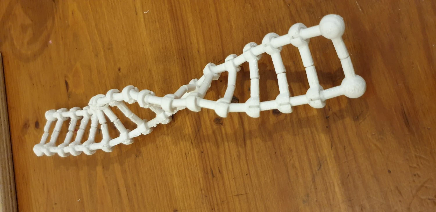 dna model print in place 3D Print Model .c4d .max .obj .3ds .fbx .stl .blend 