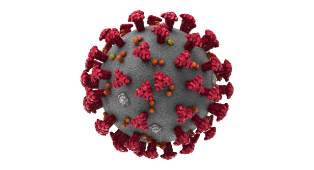 coronavirus covid-19 3D Model .c4d .max .obj .3ds .fbx .stl .blend 