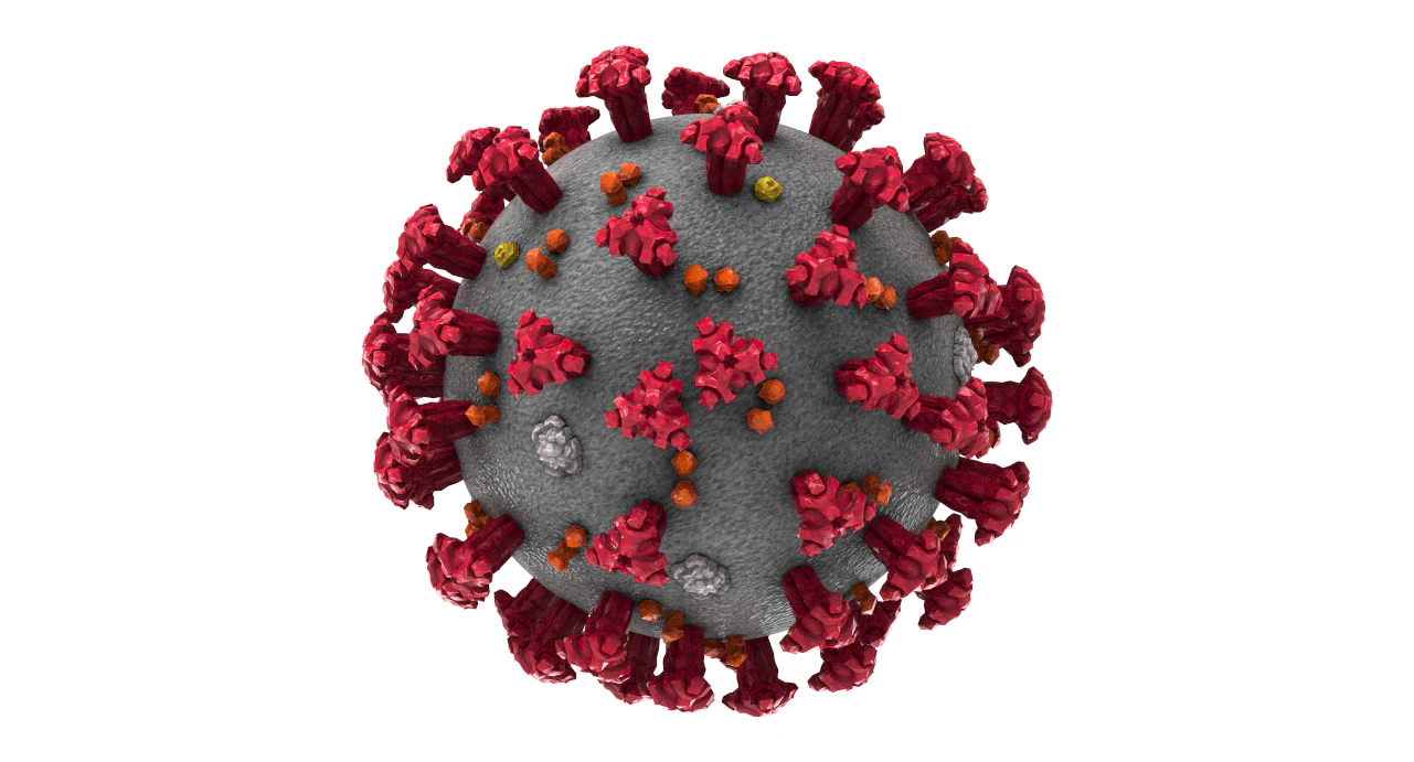 coronavirus covid-19 3D Model .c4d .max .obj .3ds .fbx .stl .blend 