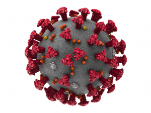 coronavirus covid-19 3D Model