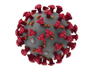 coronavirus (COVID-19 Modello 3D
