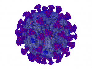 coronavirus covid-19 3D Model