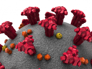 coronavirus covid-19 3D Model