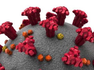 coronavirus covid-19 3D Model