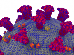 coronavirus covid-19 3D Model