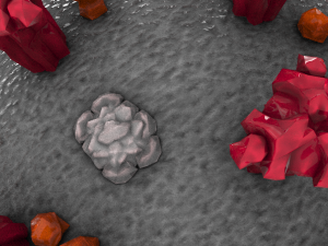 coronavirus covid-19 3D Model