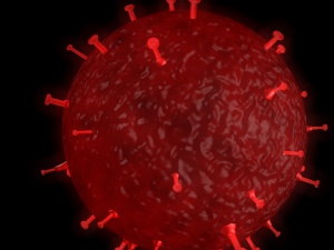 corona virus Model 3D